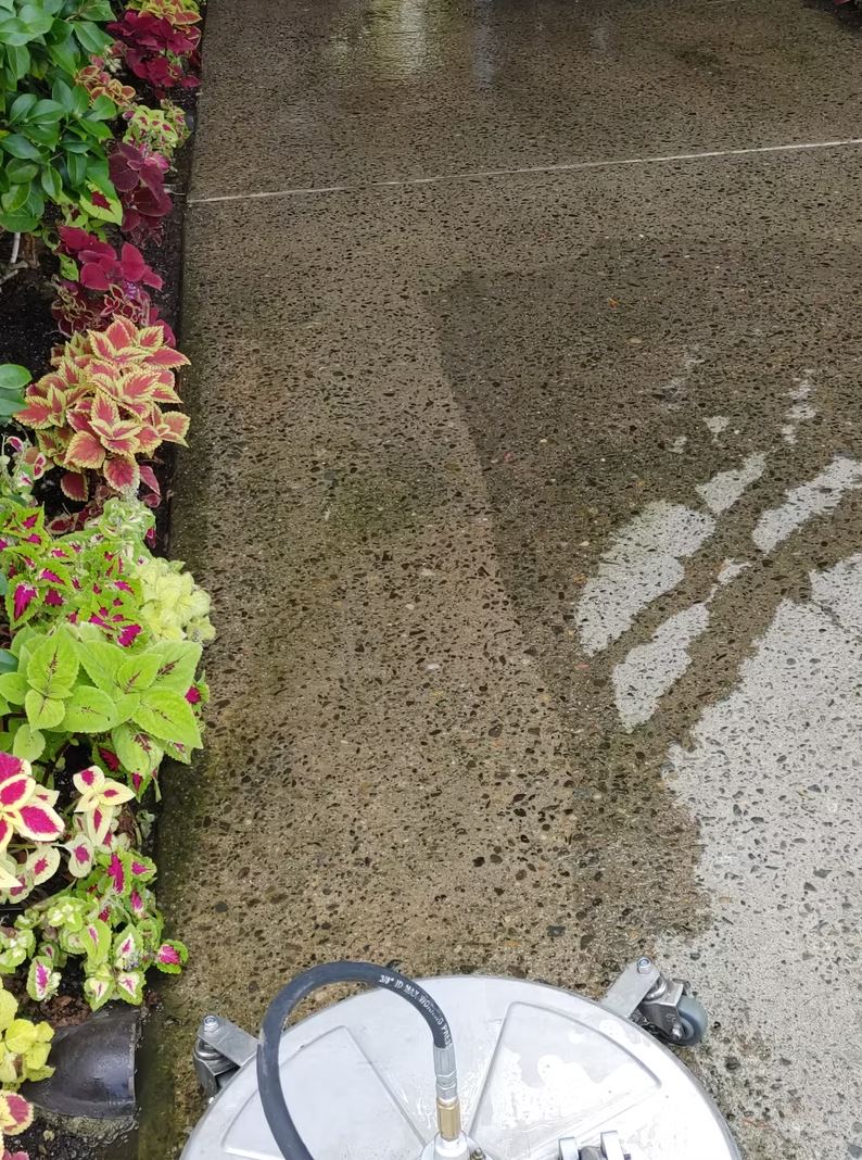 Beach Cities Pw. Website Pull. 25.18 (2)